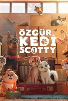 Özgür Kedi Scotty Full HD İzle